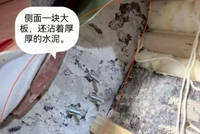 罗永浩炮轰俞敏洪：东方甄选销售劣质溜溜凳获利千万元未退款