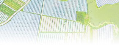 浙江省温岭市温峤镇金岩村的葡萄大棚。 　　刘振清摄（人民视觉）