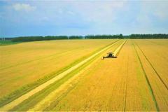 农业农村部：适当提高稻谷、小麦最低收购价，稳定玉米、大豆生产者补贴和稻谷补贴政策