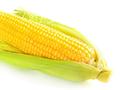 卓创资讯：供应面支撑 6月玉米价格或继续上涨
