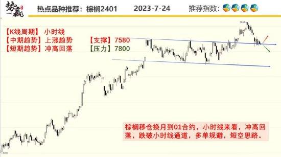 中粮势赢交易：日线大阴 菜油回调延续