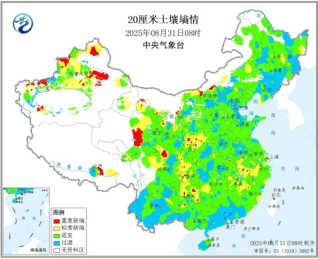 资料来源：东海期货整理