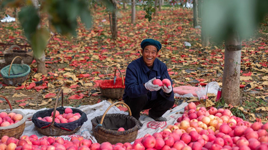 疫情期间，永辉超市帮助产地农户销售苹果