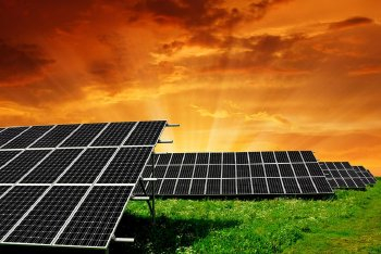 晶澳科技紧急辟谣