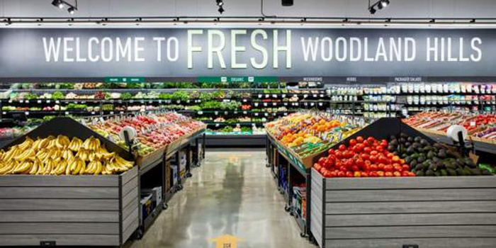 fresh foam 1080 v11 test