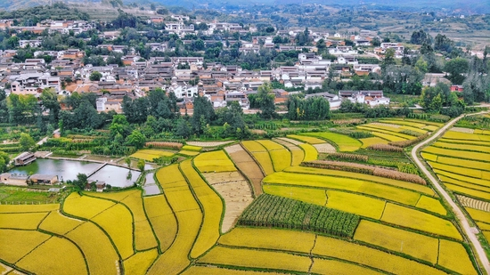 沙溪古镇 图源：杨颖供图