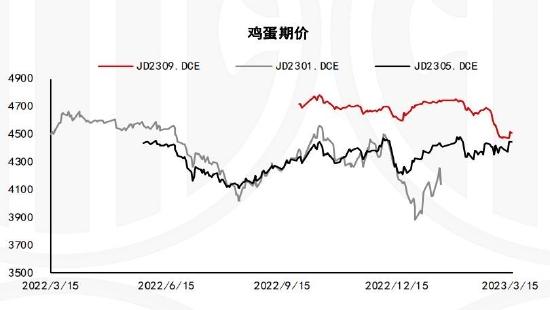 倍特期货：供应压力放大 鸡蛋或偏弱运行