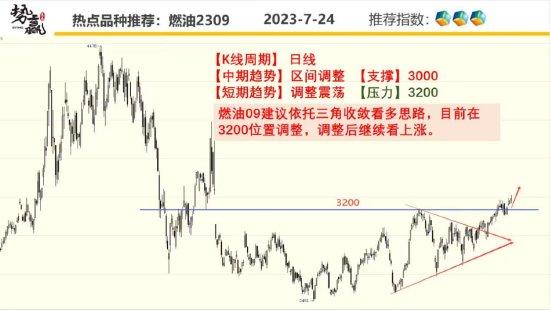 中粮势赢交易：日线大阴 菜油回调延续