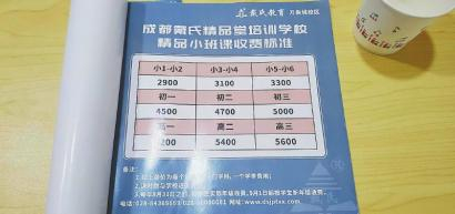 戴氏教育成都万象城教学点的“精品小班课收费标准”页面。本版摄影四川日报全媒体记者韦维