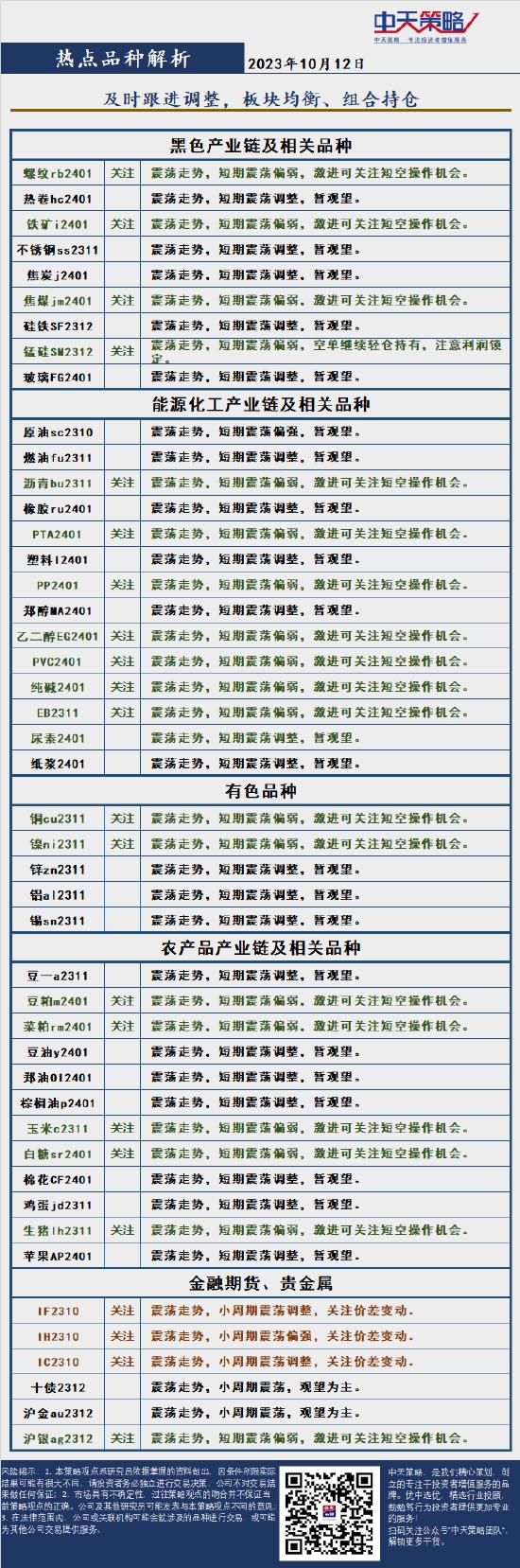 中天策略:10月12日市场分析