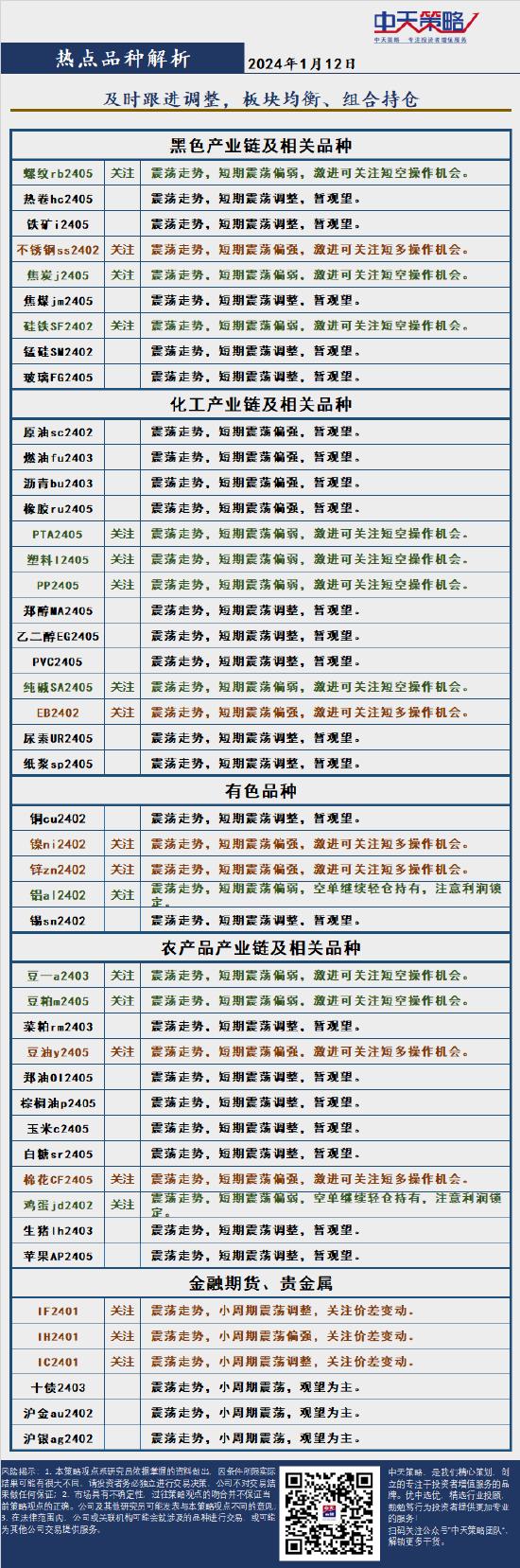 中天策略:1月12日市场分析