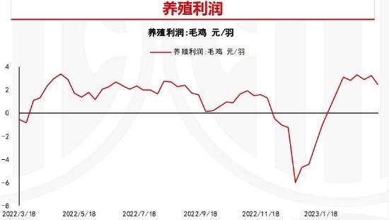 倍特期货：供应压力放大 鸡蛋或偏弱运行