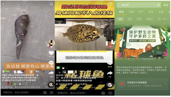 图片来源于网络