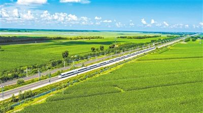 ▲一列动车组列车疾驰在哈齐高铁线上。