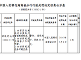 新生支付被罚66万元：未落实收单银行结算账户管理制度规定等