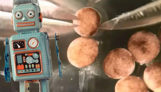 　　美国研究小组手动塑造了这些活体机器人，体长大约1毫米，能够按照计算机程序设计的路线移动，还能负载一定的重量，携带药物在人体内部移动，也能在受污染的海域进行人类无法完成的操作。