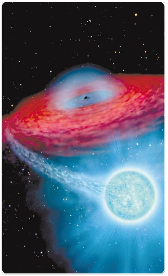 　　LB-1的艺术想象图，中心黑色的点表示黑洞，周围红色的圆盘代表截断的吸积盘，右下蓝色天体是伴星B型星。 新华社发（喻京川绘）