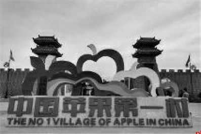 洛川县永乡镇阿寺村：名副其实的“中国苹果第一村”