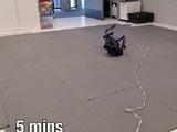 用世界模型训练机器狗：1小时学会走路、翻身和通过障碍物