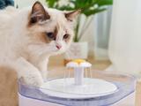 5000元猫砂盆，收割上亿铲屎官？