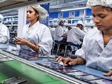富士康拟大举扩建印度工厂 未来两年计划新招5.3万名员工