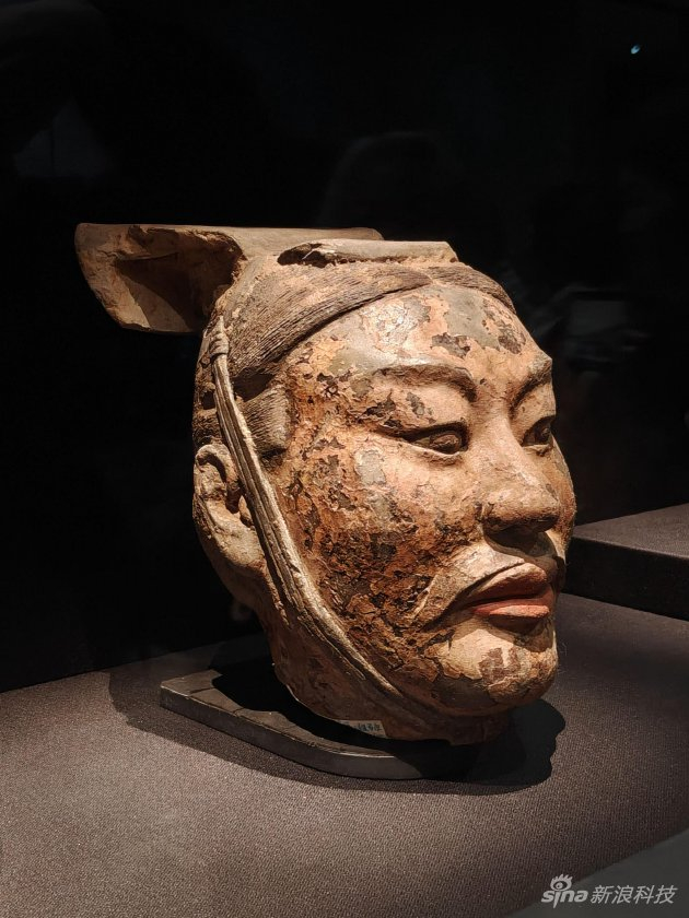 使用一加15的3.5倍变焦拍摄的样张