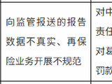 中再寿险被罚50万元：向监管报送的报告数据不真实、再保险业务开展不规范