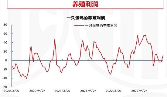 倍特期货：供应压力放大 鸡蛋或偏弱运行