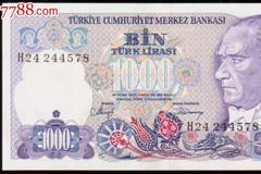 谁制造了土耳其货币危机？