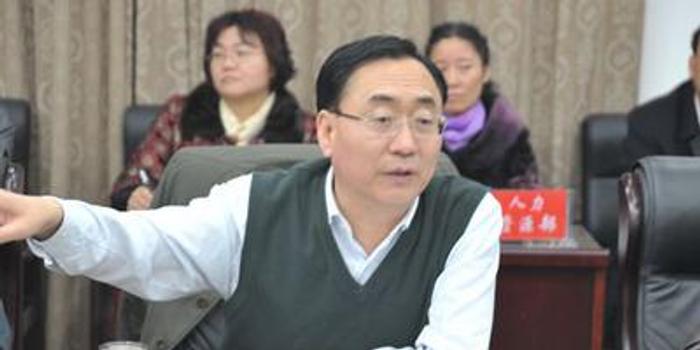 山西阳煤集团总经理裴西平接受纪律审查和监察