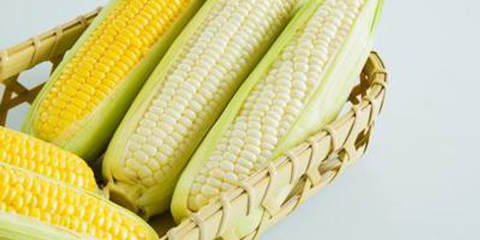 瑞达期货:DCE玉米振荡收跌 继续关注MA20支