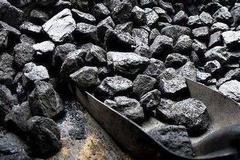 系列报道之二十：动力煤期货成煤电市场“稳定器”