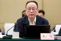 央行货币政策委员会委员王一鸣:人民币汇率弹性在进一步增强