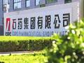 石药集团获主席兼执行董事蔡东晨增持450万股 每股作价6.07港元