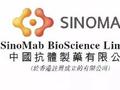 中国抗体-B拟发行合共约1.128亿股认购股份 净筹约1.24亿港元