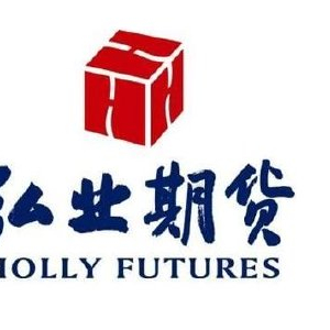 600981涨停事件分析：公司身份冲突与潜在驱动因素