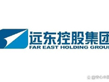 远东控股国际于2月3日上午起停牌