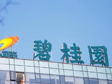 碧桂园因零息强制性可转换债券获转换而发行93.26万股