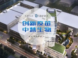 中慧生物-B：德勤辞任核数师