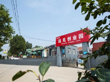远见控股：建议股份合并