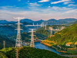 中国电力：电投水电2025年年度归母净利润5.32亿元