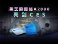 黑芝麻智能于5月13日斥资2264.5万港元回购128.38万股