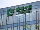 绿城管理控股建议委任毕马威会计师事务所为核数师