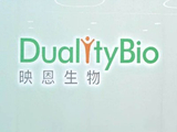映恩生物-B拟回购最多4000万美元股份 创始人朱忠远拟增持不超过500万美元股份