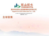旺山旺水-B建议委任国卫为新任核数师