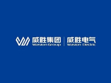 威胜控股附属中标墨西哥联邦电力委员会的年度智能电表招标