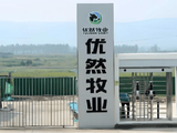 优然牧业早盘涨近4% 预期上半年归母净利润约7.39亿至约9.03亿元