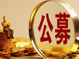 公募基金上半年经营数据陆续出炉 费率改革影响显现 头部稳固中部加速洗牌