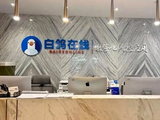 白鸽在线早盘涨超7% 前8个月MaaS服务收入同比增长约579.8%