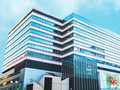 丽新发展：公众持股量为19.60%